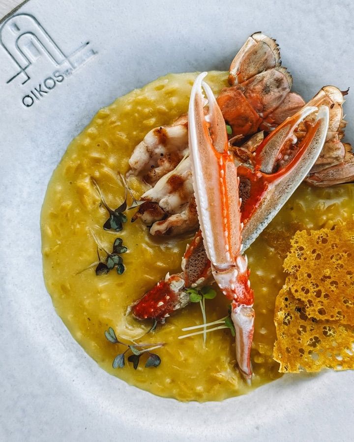 Risotto dish at OIKOS